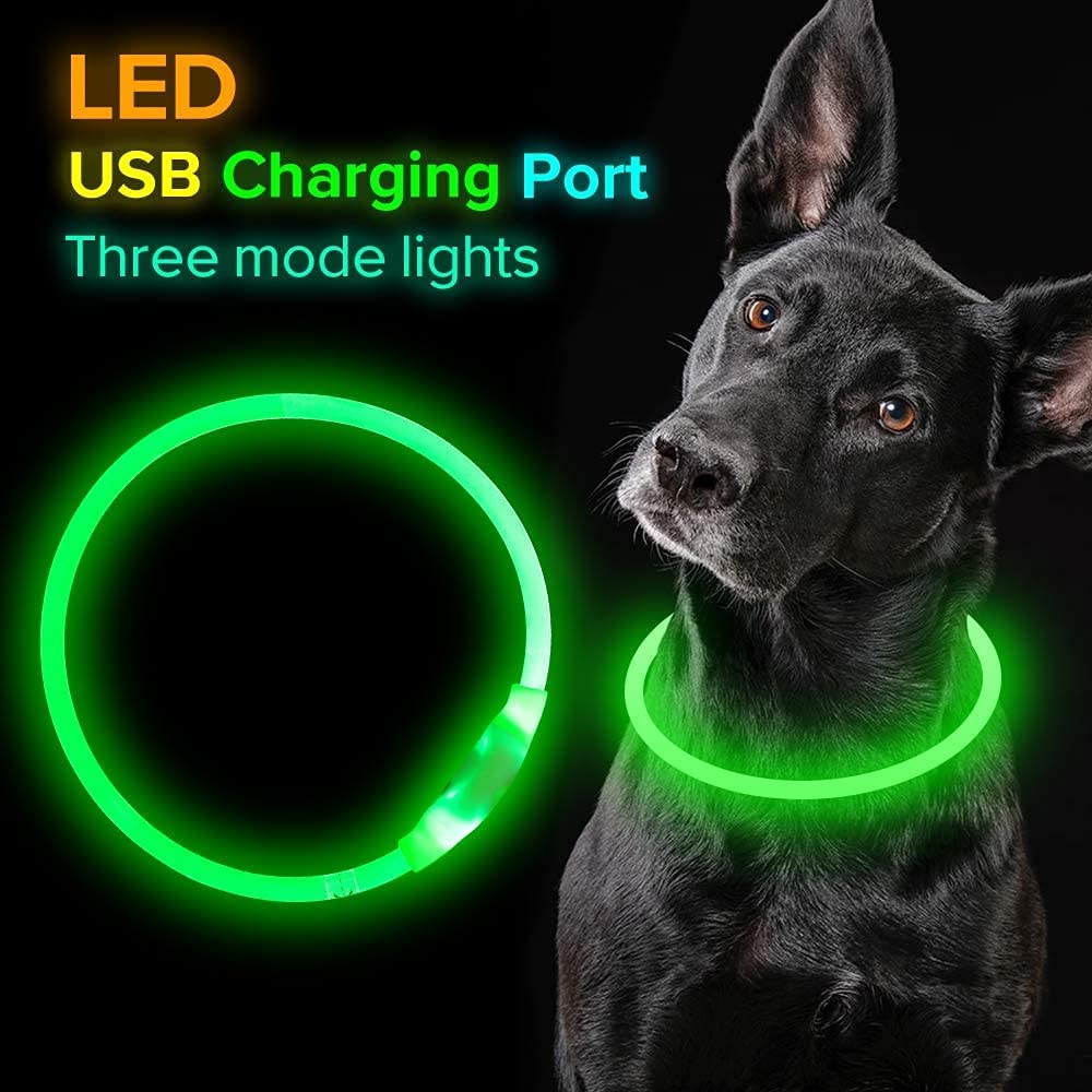 USB Rechargeable, Glowing Pet Dog Collar for Night Safety