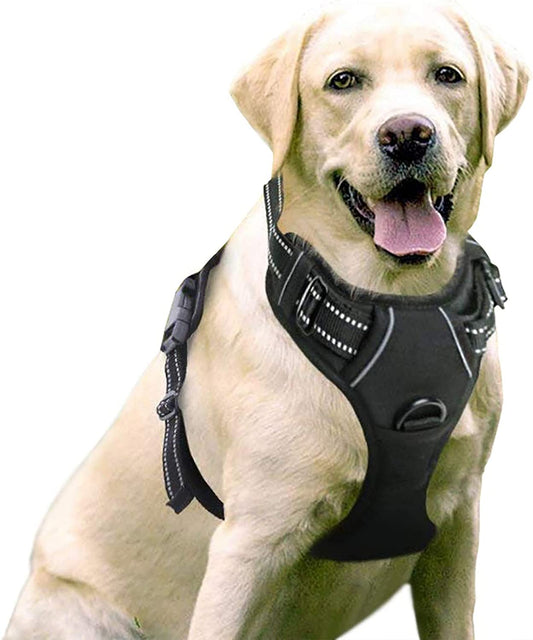 No-Pull Pet Harness with 2 Leash Clips, Adjustable Soft Padded Dog Vest, Reflective Outdoor