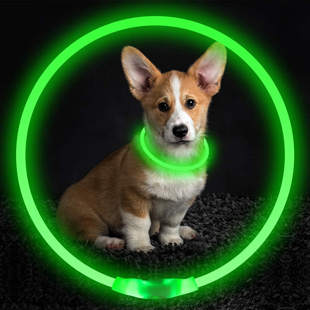 USB Rechargeable, Glowing Pet Dog Collar for Night Safety