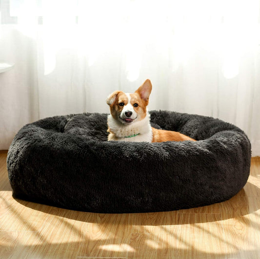 Comfortable Dog Bed for Medium Dogs with Removable Cushion