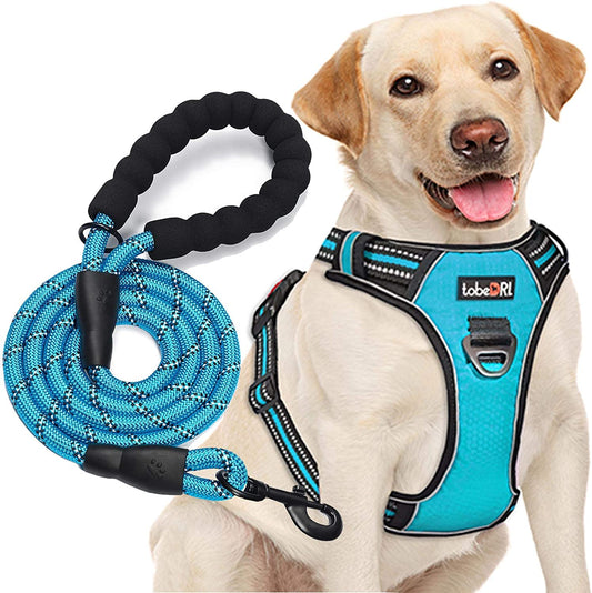 Free Heavy Duty 5ft Dog Leash No Pull Dog Harness Adjustable Reflective Oxford Easy Control Medium Large Dog Harness with A